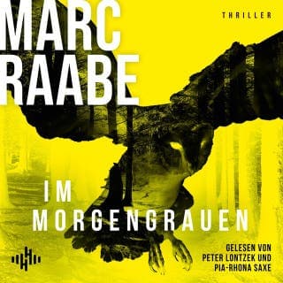 Im Morgengrauen (Art Mayer-Serie 4) von Marc Raabe, Hörbuch-Cover