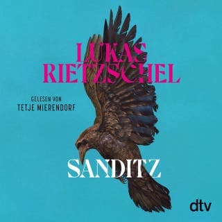 Sanditz von Lukas Rietzschel, Hörbuch-Cover